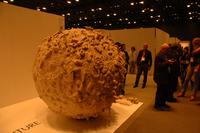 Tokyo Design 2050