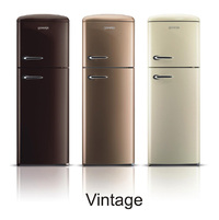 "Vintage"
 šaldytuvai iš "Gorenje"