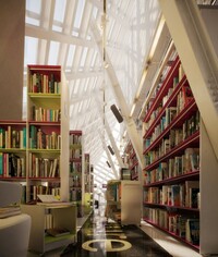 Innovative-Library-Ladders