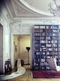 Library-Victorian-Idea