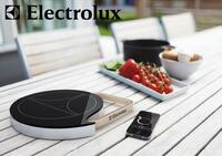 Induction Heater