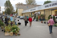 "Medžio centro" gimtadienis - rudens sodinukų mugė