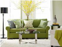 Žalią spalvą galite naudoti praktiškai visur – dažant sienas, renkantis baldus, kilimus, užuolaidas ar interjero detales.